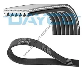 ALTERNATÖR KAYIŞI 6PK975 AV6Q 6C301 EA DAYCO